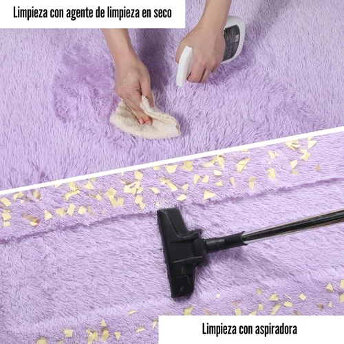 Miniatura 6 de PAGISOFE - Alfombra esponjosa y peluda de color púrpura, de 4 x 6 pies, para dormitorio, sala de estar, alfombra de princesa para habitación, 2