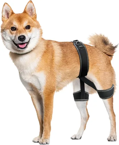 CHAMIN Soporte de cadera para perro – Arnés de apoyo para displasia de cadera, alivio del dolor en las articulaciones, evita problemas en las