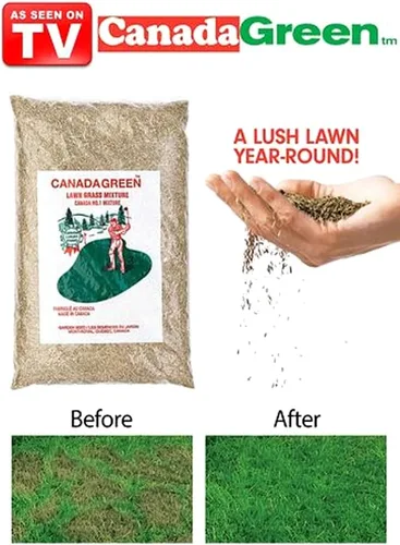 Miniatura 2 de Canada Green Semillas de césped - Crece hierba verde rica y saludable, plantas de semillas de césped, patio, jardín, bolsa de 2 libras