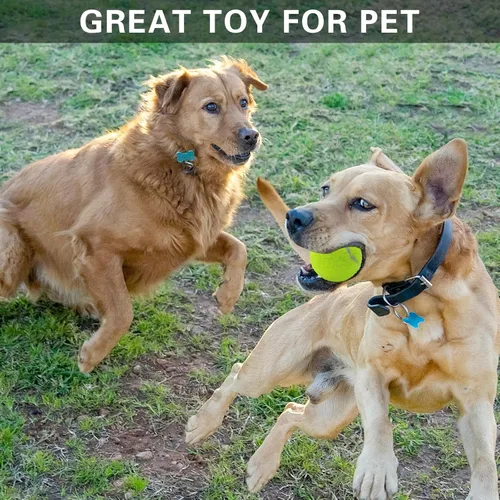 Miniatura 8 de Swingers Pelotas de tenis, pelotas de ejercicio de entrenamiento para mascotas, pelotas de tenis de práctica de alta elasticidad para principiantes