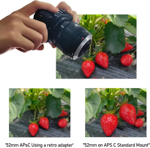 Miniatura 7 de Anillo inverso de lente macro NEX de 2.047 in a NEX compatible con A9 A7 A7s A7R A7II A7RII A7SII A6300 A5100 A6000 A5000 A3000 NEX-5T NEX-3N 2.047