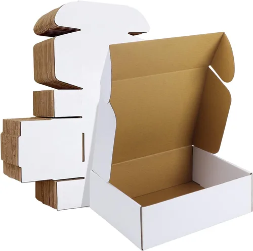 HORLIMER Juego de 20 cajas de envío de 12 x 9 x 4 pulgadas, caja de cartón corrugado blanco para publicidad