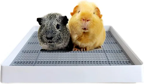 Miniatura 11 de PODOO Caja de arena para conejos, bandeja de entrenamiento para conejillos de indias y mascotas pequeñas, espaciosa bandeja de rejilla con entrada
