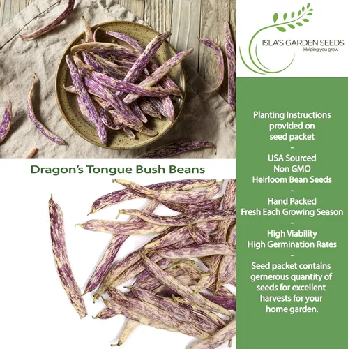 Miniatura 2 de Semillas de frijol Dragon's Tongue Bush (Dragon Langerie) – Más de 25 semillas sin OMG y reliquias, Phaseolus vulgaris, cápsulas de crema coloridas