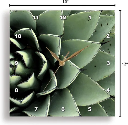 Miniatura 8 de 3dRose DPP_92676_2 Agave Cactus Suculent, Santa Fe, Nuevo México US32 JMR0454 Julien McRoberts Reloj de pared, 13 x 13 pulgadas
