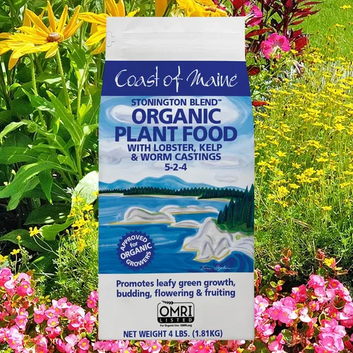 Miniatura 2 de Coast of Maine Stonington Blend - Alimento orgánico para plantas con bastidores de langosta, algas y gusanos - Listado OMRI