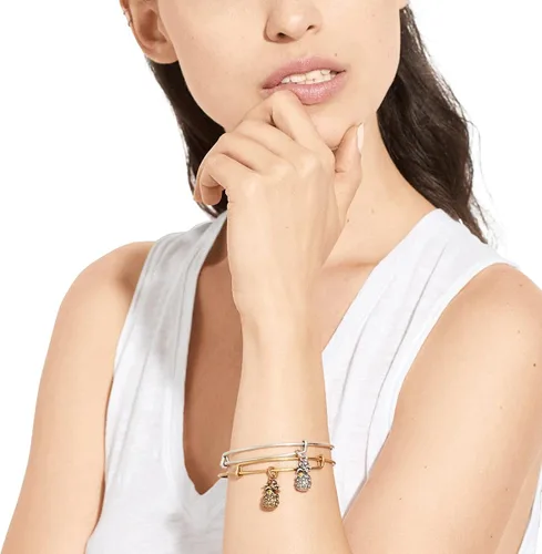 Miniatura 3 de Alex and Ani Path of Symbols Expandable Bangle for Women, Pineapple Charm, Rafaelian Finish, 2 to 3.5 in