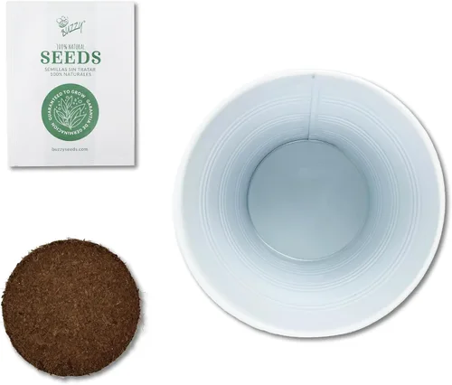 Miniatura 3 de BUZZY Seeds Coleus - Kit de cultivo de plantas de interior, cubo de jardín de metal blanco con semillas de siembra y medio de cultivo, juego