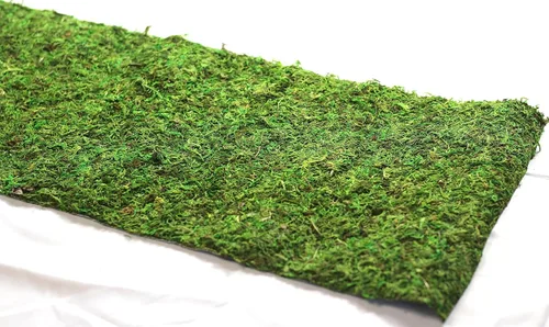 Miniatura 3 de Alfombra y tapetes de musgo preservado (12 pulgadas x 6 pies)