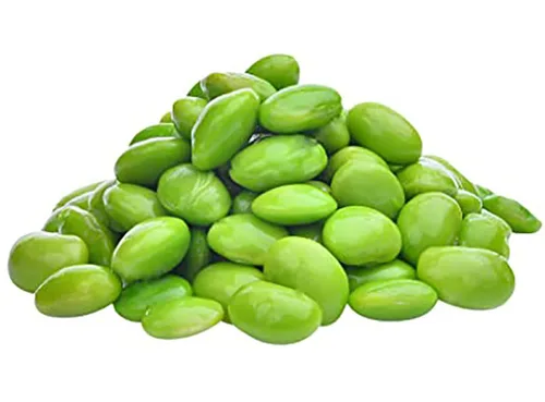 Semillas de frijol gigante Edamame Midori - Delicioso Edamame grande que se sirven en restaurantes.