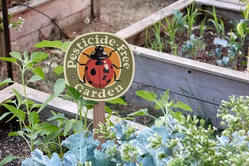 Miniatura 3 de Pesticide Free Garden Sign