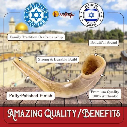 Miniatura 5 de Shofar Set (bolsa de transporte de terciopelo, aerosol neutralizador de olores, cepillo de limpieza, guía y pulsera roja de Tierra Santa) Ram Shofar