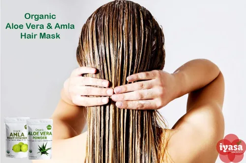 Miniatura 8 de Iyasa Holistics Aloe Vera orgánico en polvo de 8 onzas – Aloe Barbadensis hoja entera – Certificado USDA finamente molido, fórmula fácil de mezclar