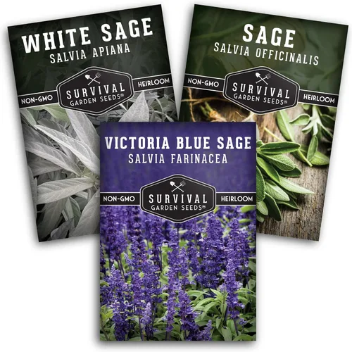 Survival Garden Seeds Sage Collection Seed Vault - Semillas blancas y culinarias y azul Victoria (Salvia Apiana, Officinalis, Farinacea) - Semillas