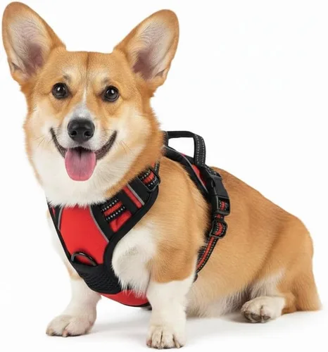 Miniatura 20 de Arnés para perro sin tirones, chaleco táctico verde XL, arnés extra grande de nailon 900D resistente con asas de fácil control, chaleco acolchado