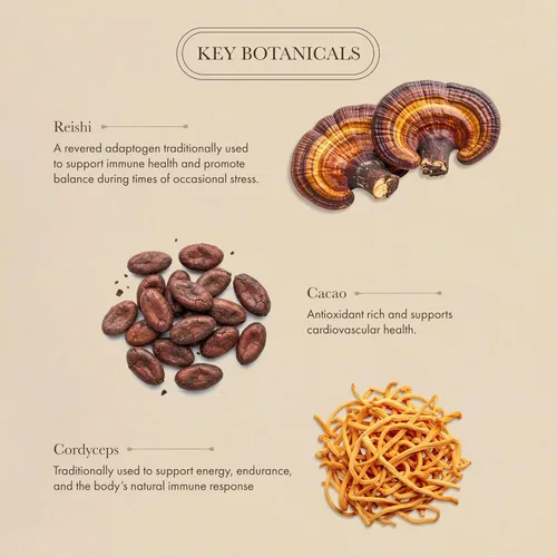 Miniatura 4 de Anima Mundi Apothecary Suplemento orgánico de hongos – hongos adaptogénicos + cacao – Polvo estimulante con melena de león orgánica, shiitake, chaga