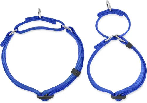 Miniatura 4 de Collar Hyhug Pets de nailon resistente, cómodo y seguro, para entrenamiento profesional, martingala, uso diario, para caminar, antiescape, para Azul