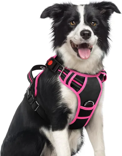 Miniatura 25 de rabbitgoo Arnés para perro de tamaño pequeño, chaleco para perro sin tirones con 3 hebillas, arnés ajustable y acolchado suave para mascotas con asa