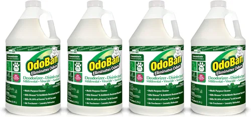 OdoBan Desinfectante Profesional y Eliminador de Malos Olores Concentrado, Hecho en los EE. UU., Aroma Original de Eucalipto, Paquete de 4, 1 Galón