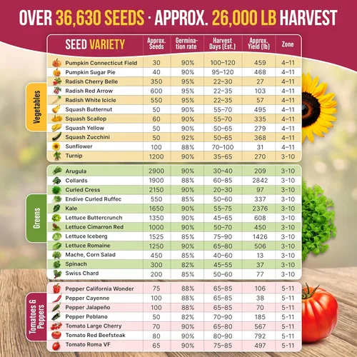 Miniatura 5 de Surtido de 55 semillas de verduras – más de 35,600 semillas autóctonas sin OMG para plantar verduras y frutas en paquetes de semillas individuales