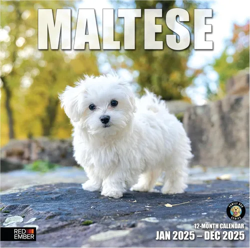 Miniatura 7 de RED EMBER Calendario de pared 2025 con diseño de cachorros de 12 meses, 12 x 24 pulgadas, abierto, papel grueso y resistente, para regalo