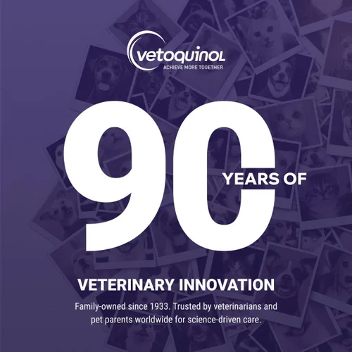 Miniatura 7 de Vetoquinol Flexadin - Suplemento avanzado de cadera y articulación con colágeno no desnaturalizado para perros, una masticable al día para el apoyo