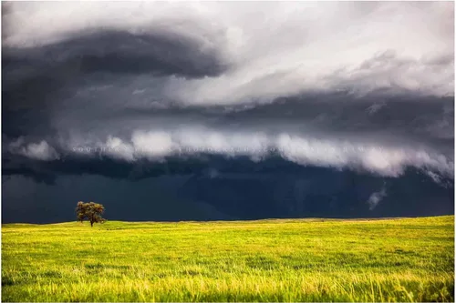Miniatura 7 de Storm Photography Print (Not Framed) Picture of Thunderstorm Passing Behind Lone Tree on Nebraska Prairie Great Plains Wall Art Nature Weather Decor