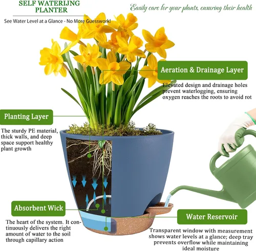 Miniatura 3 de Macetas de riego automático de 6 pulgadas para plantas de interior (paquete de 5) – Pequeñas macetas de plástico con ventana de nivel de agua