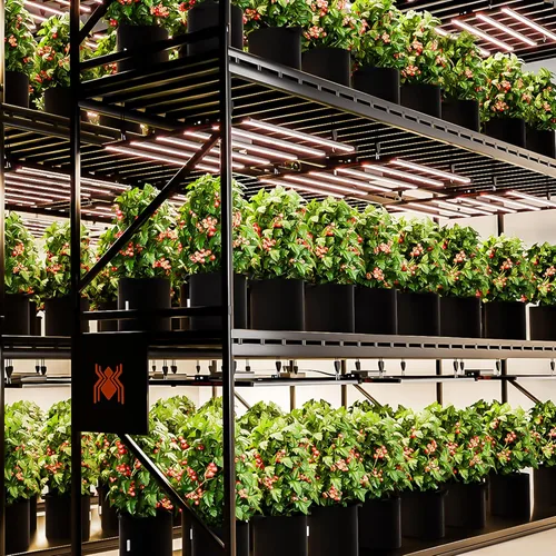 Miniatura 9 de Spider Farmer G7000 - Luces LED de crecimiento rentables de 730 W, cobertura de 5 x 5 pies, lámpara de cultivo LED estilo barra comercial