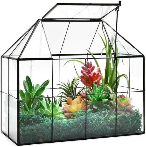 Maceta grande de vidrio para casa de terrario – Invernadero de vidrio para plantas suculentas con tapa 9.8 x 7.9 x 5.9 pulgadas NA