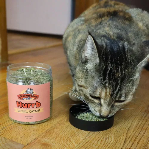 Miniatura 2 de Whiskertons Hurrb Hierba gatera para gatos y gatitos, 100% naturales y seguras golosinas de hierba gatera utilizada para juguetes y accesorios