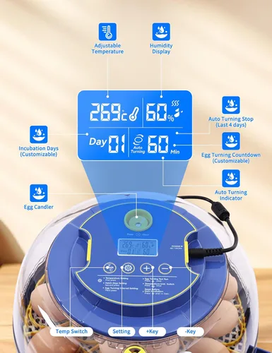 Miniatura 7 de Incubadora panorámica de huevos de 18 huevos de 360° con giro automático de huevos y control de humedad, perfecta para incubar pollos, patos