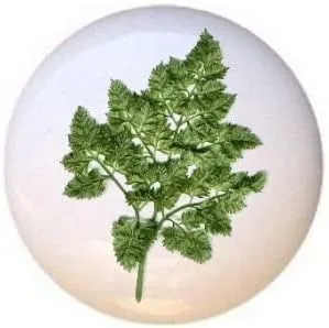 Miniatura 13 de Hierbas Especias Cocina Cocina Cocinar Hornear Hornear Decorativo Cerámica Cajón Tiradores Armario Perillas (pimienta de Jamaica)