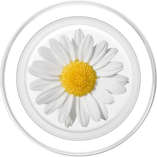 Miniatura 2 de Linda margarita blanca amarilla tan bonita sobre fondo blanco PopSockets PopGrip: agarre intercambiable para teléfonos y tabletas PopSockets MagSafe