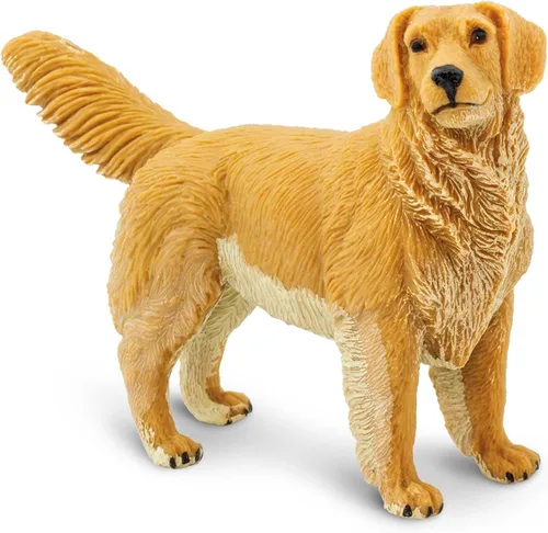 Safari Ltd. Figura de Golden Retriever – Figura detallada de modelo de plástico de 4.5 pulgadas – Divertido juguete educativo para niños, niñas y