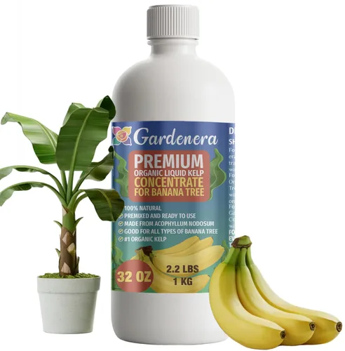 Miniatura 25 de GARDENERA Superalimento orgánico prémium de algas marinas y algas marinas para plantas AGLAONEMA, 8 onzas, concentrado de fertilizante líquido