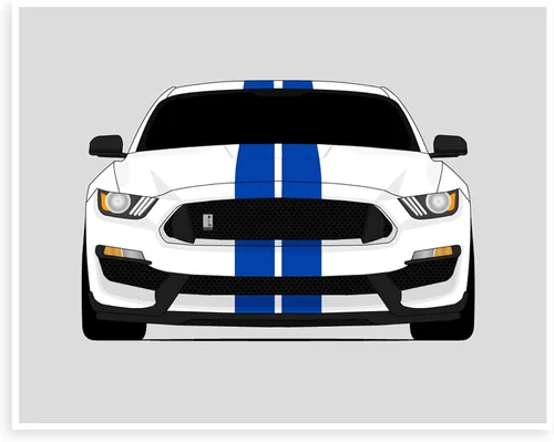 Color personalizable: póster Custom Car Posters hecho a mano compatible con Shelby GT350 S550 (2015-2020), decoración artística de pared, impresión