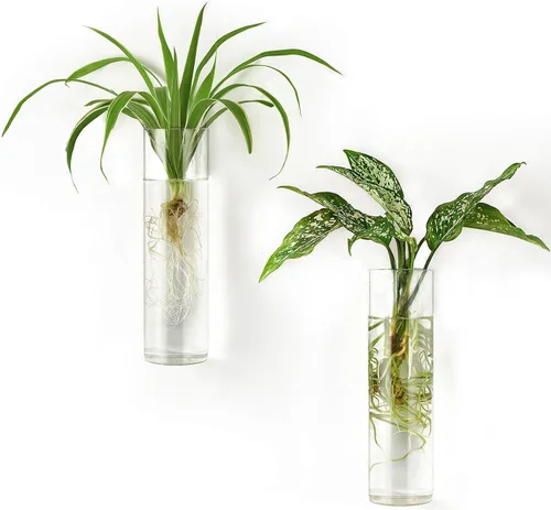 Mkono Estación de Propagación Jardinera Colgante de Pared Tubos de Vidrio Florero para Plantas Hidropónicas, Baño, Oficina en Casa Sala de Estar