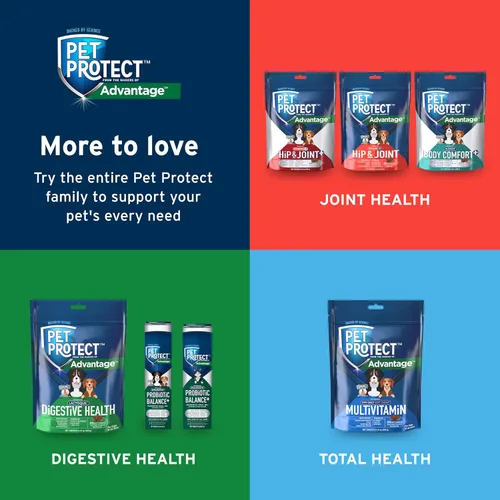 Miniatura 8 de Pet Protect Dog Probiotic Balance+ Gel oral, endurosina formulada por veterinarios, prebióticos y probióticos para perros, suministro para 3 días