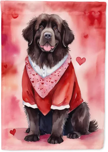 Miniatura 130 de Caroline's Treasures DAC5292CHF - Bandera de Border Collie My Valentine House para porche, grande, con manga para porche, para colgar en la pared