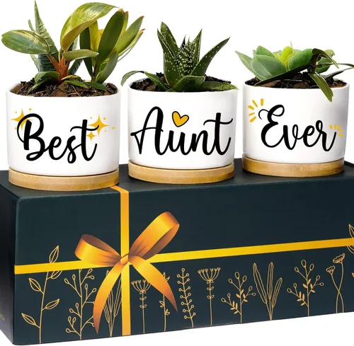 Rosa Vila Macetero para tía, regalo único para la mejor tía de parte de sobrina y sobrino, juego de regalo de maceta para tía, regalo ideal para el