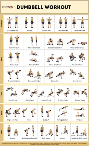 Miniatura 9 de SPORTAXIS Póster de entrenamiento básico con ilustraciones de colores, póster de pared laminado sin equipo para entrenamiento en casa, pósteres