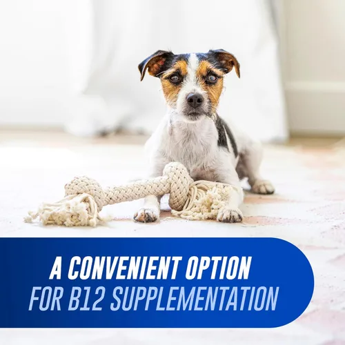 Miniatura 3 de Nutramax Cobalequin B12, suplemento para gatos y perros pequeños, 45 unidades (Paquete de 1)