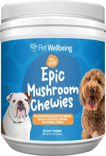 Pet Wellbeing Epic - Masticables de hongos para perros, apoyo inmunológico, salud cognitiva, apoyo adaptogénico para el estrés con hongos