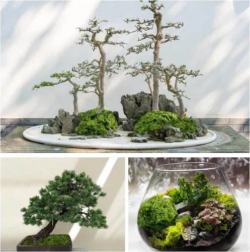 Miniatura 3 de Musgo verde artificial para plantas de interior, 5.3OZ de musgo artificial para decoración de plantas en macetas, musgo decorativo DIY