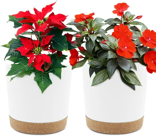 Miniatura 21 de QCQHDU Maceta de 8 pulgadas, paquete de 2 macetas para plantas de interior con agujeros de drenaje y platillo, macetas para exteriores, decoración