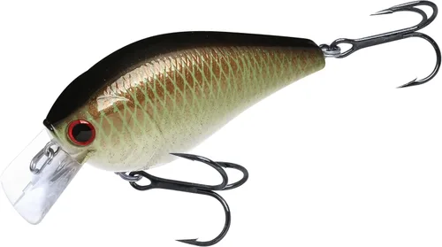 Miniatura 14 de LUCKY CRAFT LC 2.5 Señuelos de Pesca Crankbait Silenciosos, Crankbait Squarebill de 2-3/8", Señuelos para Lubina, Carnada Dura Flotante de 419 BP
