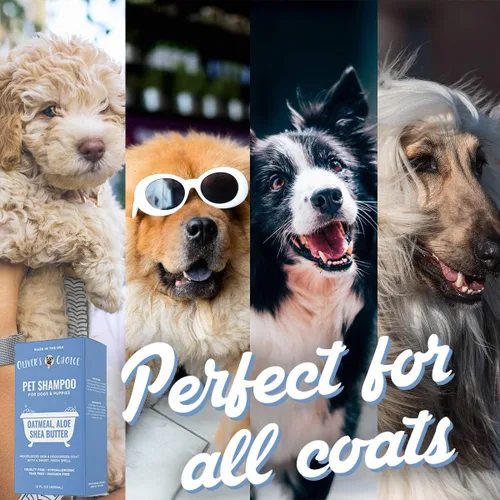 Miniatura 4 de OLIVER'S CHOICE Champú para perros con avena, aloe y manteca de karité – Champú desodorante para cachorros que huelen mal, alivio para piel