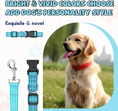 Miniatura 5 de Juego de collar y correa reflectante para perro, correa de nailon para perro con anillo en D de acero resistente, ajustable con hebilla de Cian