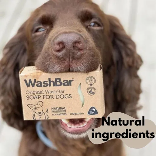 Miniatura 7 de The Natural Dog Shampoo Bar Soap para aliviar la picazón en la piel, paquete doble, jabón para perros para pieles sensibles con manuka y aceite